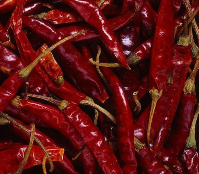 Red Chilli Exporter from Kunri, Sindh – IHN Foods